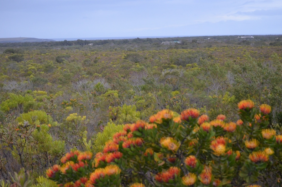 0 Bedroom Property for Sale in Gouritsmond Western Cape